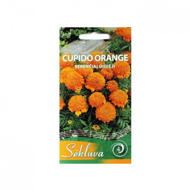 Samtenes zemas CUPIDO ORANGE 0.3g