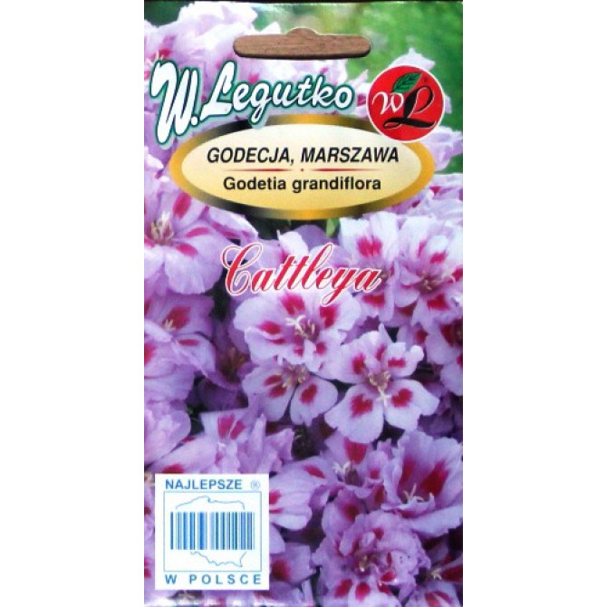 Godēcijas lielziedu Cattleya lilac 1g (12/2017g)